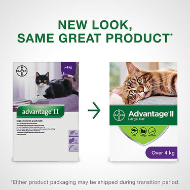 Advantage® II Large Cat Once-A-Month Topical Flea Treatment - Over 4 kg
